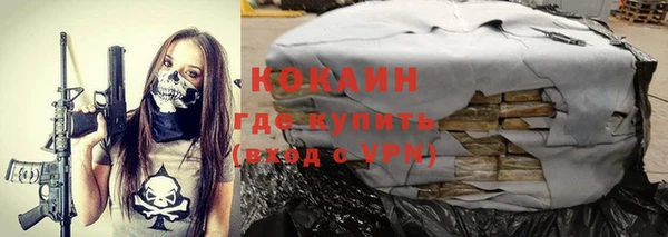 хмурый Михайловск