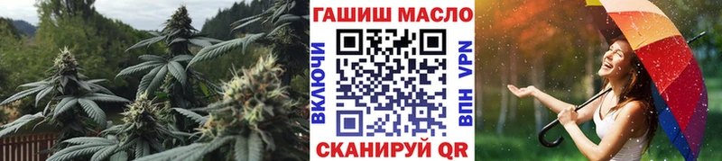 OMG сайт Куса ТГК вейп