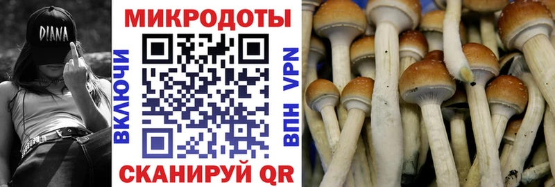Галлюциногенные грибы Psilocybe  blacksprut маркетплейс  Куса 
